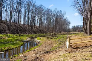 10009 Fair Woods Dr, Fairfax, VA 22030 - Photo 23