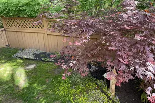 4129 Trowbridge St, Fairfax, VA 22030 - Photo 29