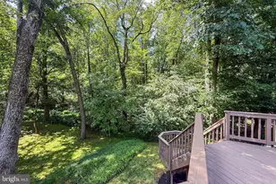 10319 Cardinal Rd, Fairfax, VA 22030 - Photo 51