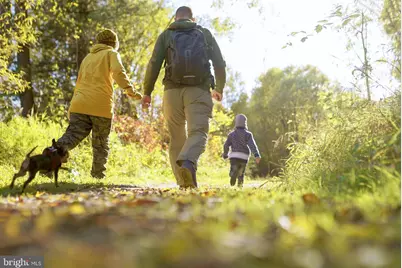 9623 Grant Avenue #HOMESITE 65, Manassas, VA 20110 - Photo 33