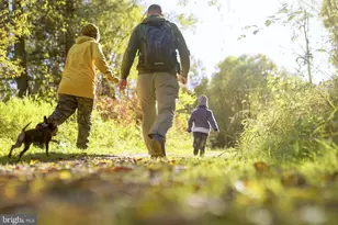 9755 Grant Ave, Manassas, VA 20110 - Photo 45