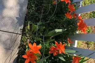 9736 Grant Ave, Manassas, VA 20110 - Photo 27