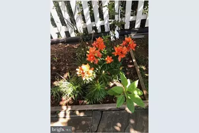 9736 Grant Avenue, Manassas, VA 20110 - Photo 25