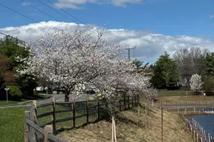 10314 Butternut Cir, Manassas, VA 20110 - Photo 29