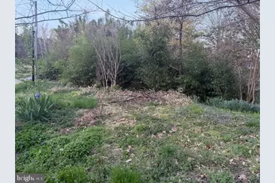 0 Hill Street, Suffolk, VA 23434 - Photo 9