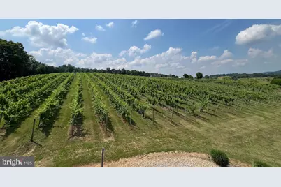 2110 Quicksburg Road, Quicksburg, VA 22847 - Photo 45