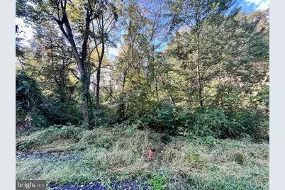 0 Short Mountain Road, Edinburg, VA 22824 - Photo 7