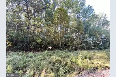 0 Short Mountain Road, Edinburg, VA 22824 - Photo 13