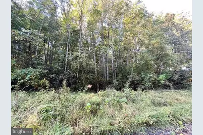 0 Short Mountain Road, Edinburg, VA 22824 - Photo 11