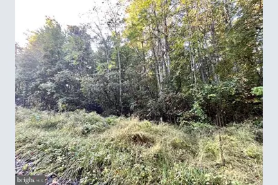 0 Short Mountain Road, Edinburg, VA 22824 - Photo 9