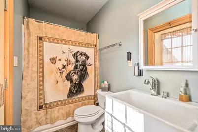 945 Neese Lane, New Market, VA 22844 - Photo 43