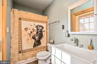 945 Neese Ln, New Market, VA 22844 - Photo 43