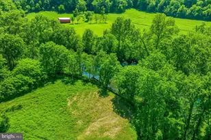 Lot 14 Black Bear Rd, Maurertown, VA 22644 - Photo 3