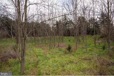 Lot 2, 3, 13 Radio Station Road, Strasburg, VA 22657 - Photo 55