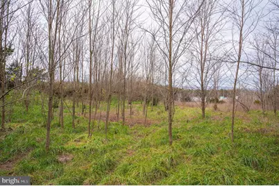 Lot 2, 3, 13 Radio Station Road, Strasburg, VA 22657 - Photo 57