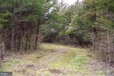 Lot 2, 3, 13 Radio Station Road, Strasburg, VA 22657 - Photo 47