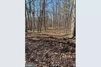 Lot 10 Independence Lane, New Market, VA 22844 - Photo 1