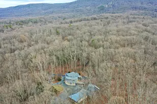 308 Brush Leaf Ln, Mount Jackson, VA 22842 - Photo 65