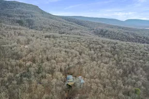 308 Brush Leaf Ln, Mount Jackson, VA 22842 - Photo 57