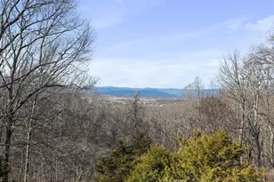 308 Brush Leaf Ln, Mount Jackson, VA 22842 - Photo 7