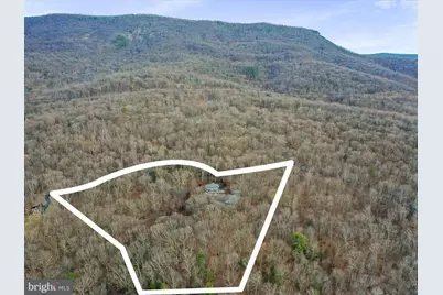 308 Brush Leaf Lane, Mount Jackson, VA 22842 - Photo 53