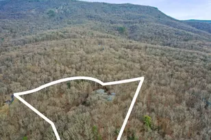 308 Brush Leaf Ln, Mount Jackson, VA 22842 - Photo 53