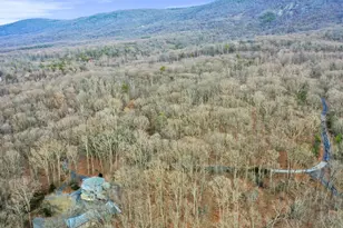 308 Brush Leaf Ln, Mount Jackson, VA 22842 - Photo 63