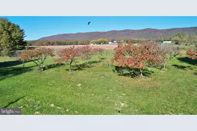 8289 Back Road, Maurertown, VA 22644 - Photo 9