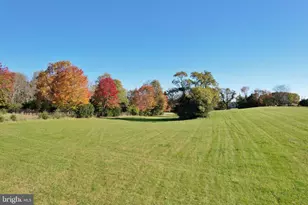 8289 Back Rd, Maurertown, VA 22644 - Photo 13