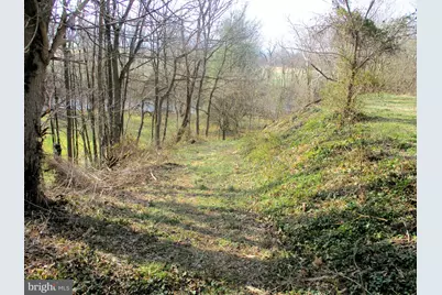 143 Montvue Avenue, Mount Jackson, VA 22842 - Photo 17