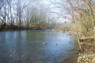 143 Montvue Ave, Mount Jackson, VA 22842 - Photo 1