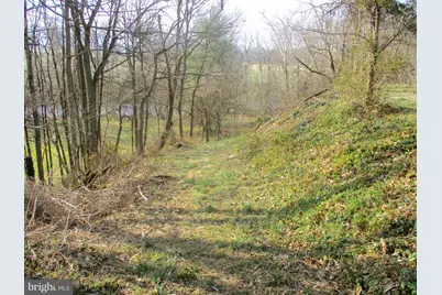 143 Montvue Avenue, Mount Jackson, VA 22842 - Photo 19