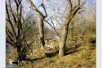 143 Montvue Avenue, Mount Jackson, VA 22842 - Photo 25