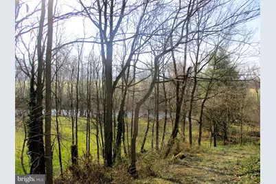 143 Montvue Avenue, Mount Jackson, VA 22842 - Photo 27