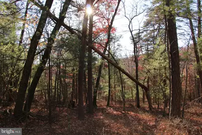 Rolly Road, Mount Jackson, VA 22842 - Photo 17