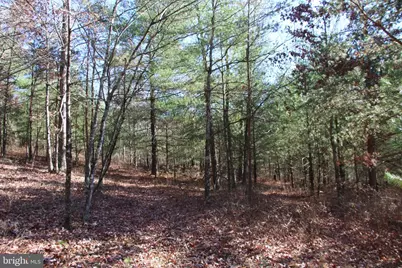 Rolly Road, Mount Jackson, VA 22842 - Photo 19