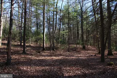 Rolly Road, Mount Jackson, VA 22842 - Photo 11