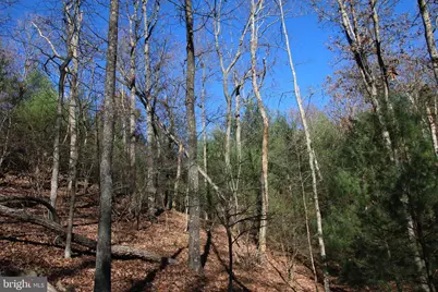 Rolly Road, Mount Jackson, VA 22842 - Photo 15