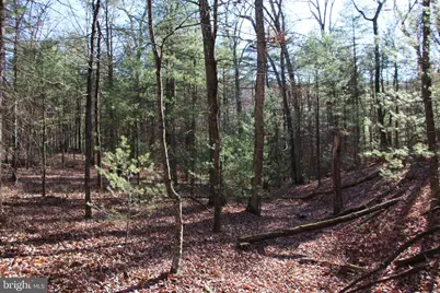 Rolly Road, Mount Jackson, VA 22842 - Photo 13