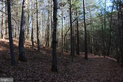 Rolly Road, Mount Jackson, VA 22842 - Photo 9