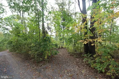 0 Hilltop / Mockingbird Lane Lot 19, Mount Jackson, VA 22842 - Photo 7