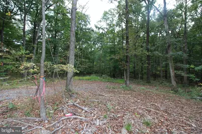 0 Mockingbird Lane- Lot 21, Mount Jackson, VA 22842 - Photo 11