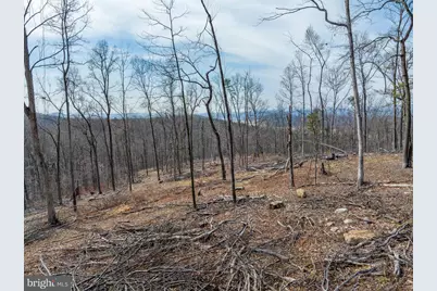 0 Mockingbird Lane- Lot 21, Mount Jackson, VA 22842 - Photo 5