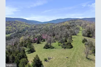 1639 Sugar Hill Road, Maurertown, VA 22644 - Photo 47