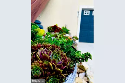 1934 Quicksburg Road, Quicksburg, VA 22847 - Photo 83