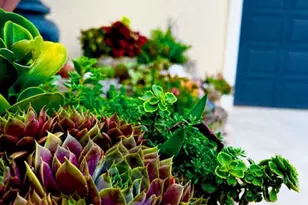 1934 Quicksburg Rd, Quicksburg, VA 22847 - Photo 83