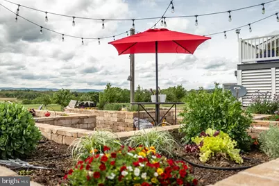 1934 Quicksburg Road, Quicksburg, VA 22847 - Photo 97