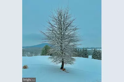 1934 Quicksburg Road, Quicksburg, VA 22847 - Photo 103