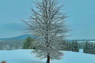 1934 Quicksburg Rd, Quicksburg, VA 22847 - Photo 103