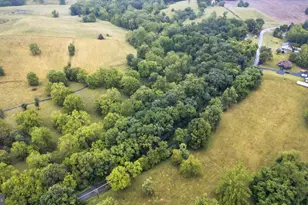 4767 S Ox Rd, Edinburg, VA 22824 - Photo 27